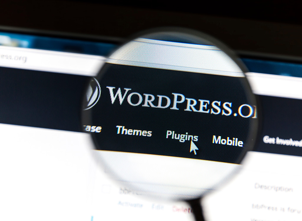 websites from leading wordpress web designer