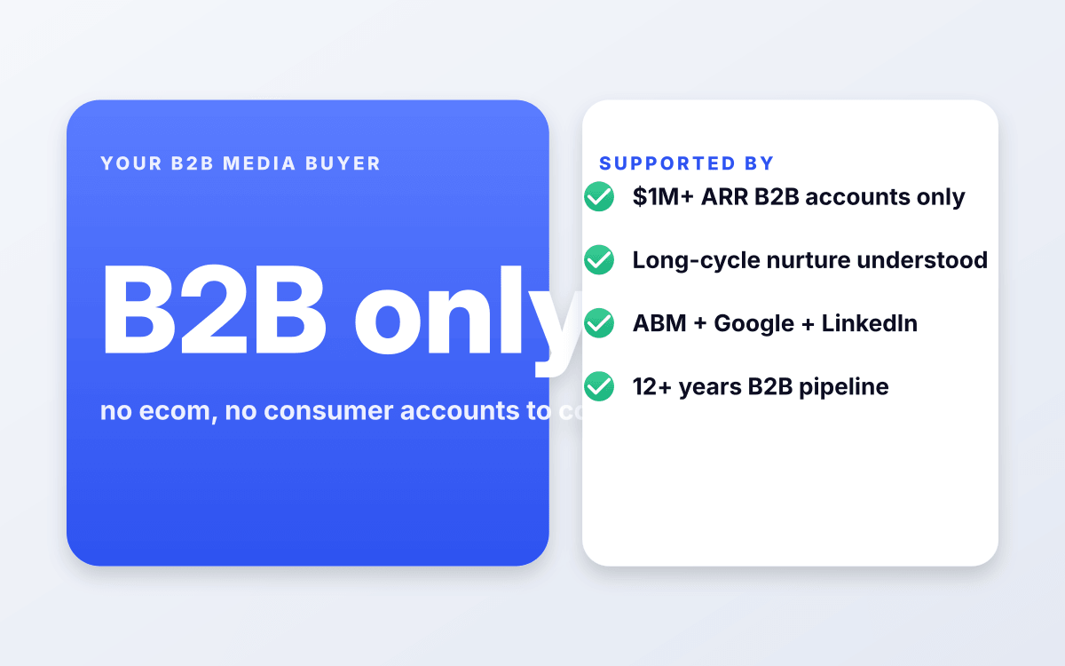 B2B-only media buyer.