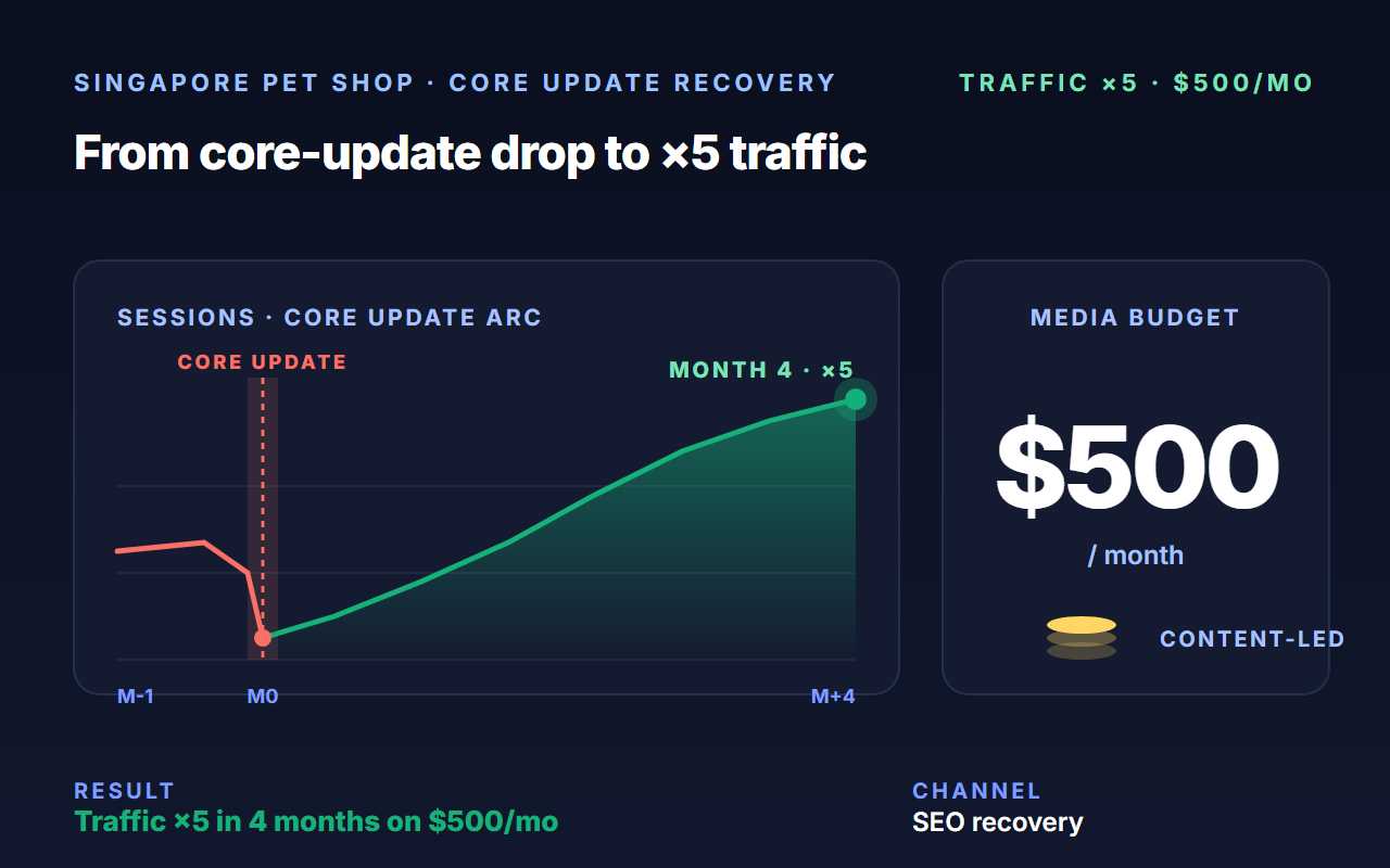 Pet Shop Singapore case study, $500 growth headline