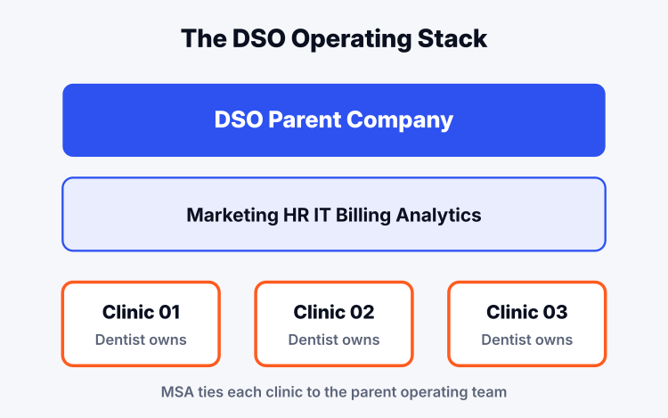 Dental service organization operating stack diagram showing parent company, shared services, and affiliated clinics