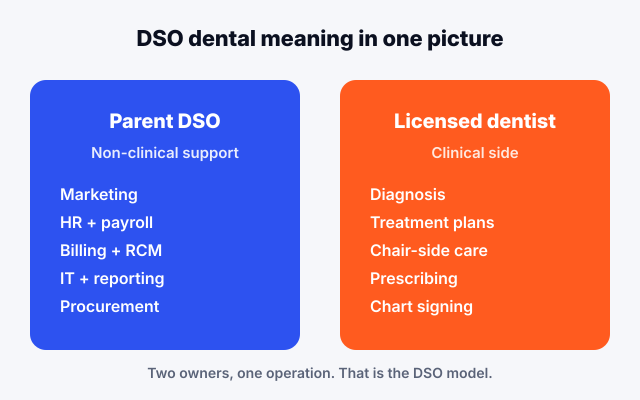 DSO dental meaning shown as a two-column split of parent DSO support versus licensed dentist clinical work