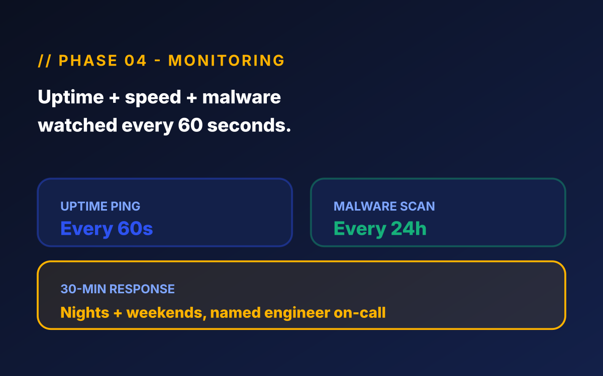 Home services website maintenance phase 04 - Monitoring illustration for home services maintenance showing uptime pings every 60 seconds, daily malware scans, 30-minute response nights + weekends.