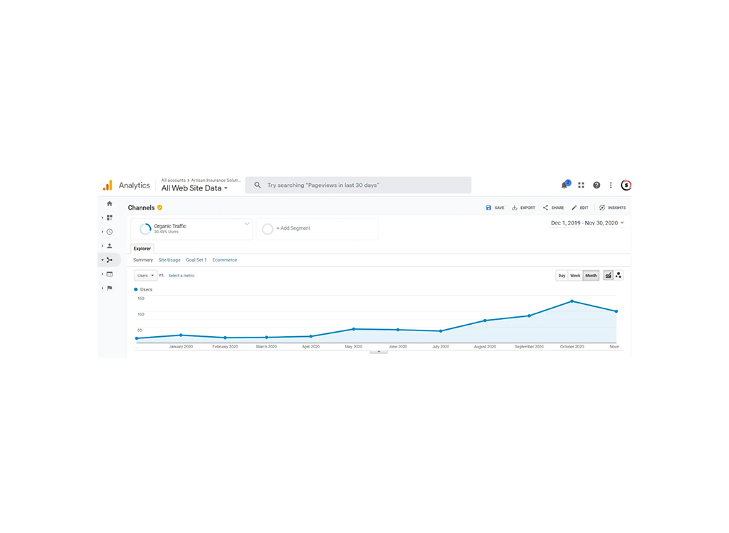 Analytics dashboard displaying organic traffic data from December 1, 2019, to November 30, 2020, highlighting user trends over time with a focus on monthly statistics.