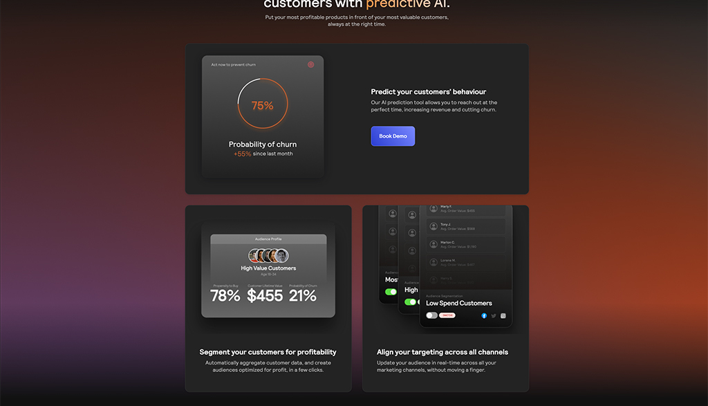 Dashboard showcasing predictive AI tools for customer behavior analysis, featuring metrics on churn probability, audience segmentation, and targeting strategies for maximizing profitability.