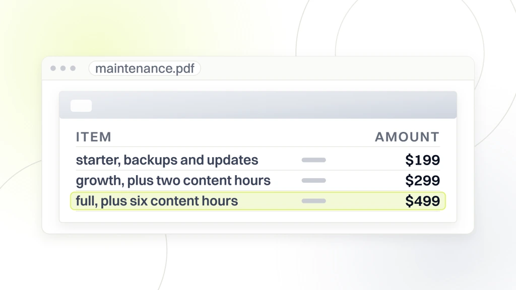 Healthcare Website Maintenance. A document open in a viewer listing three maintenance tiers at $199, $299 and $499 a month, with the full tier line highlighted.