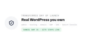 affordable WordPress design outcome showing tracked performance improvement