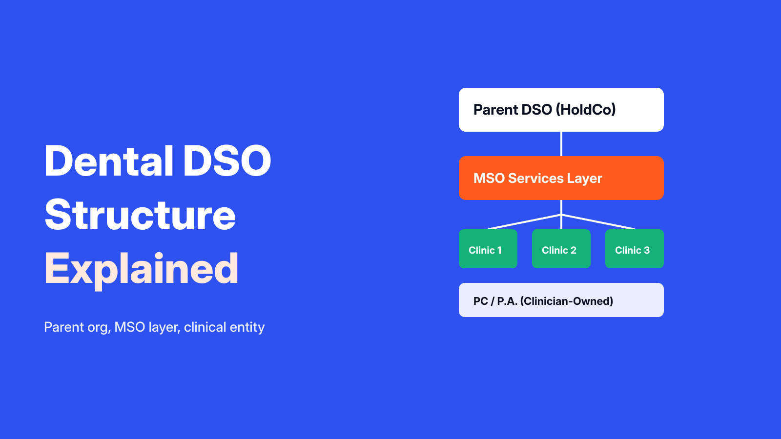 How Dental DSO Structure and Business Models Actually Work