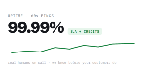 ecommerce website hosting outcome showing tracked performance improvement