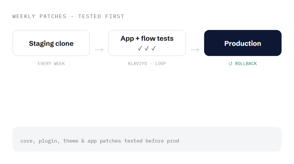 fashion WordPress maintenance deliverable panel visualizing scope of work