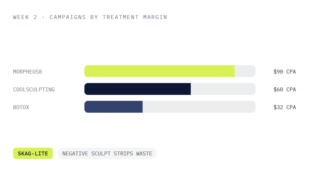 med spa PPC deliverable panel visualizing scope of work