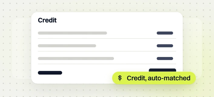 Chiropractor website maintenance credit card with three line items and a total, credit, auto-matched